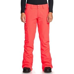 Women’s DC Recruit Snowboard Pants size S